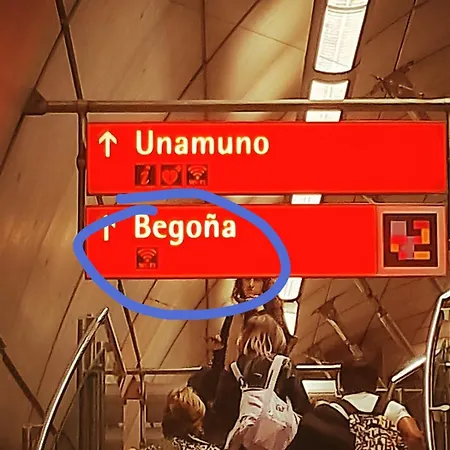 Diego's Vintage Bilbao